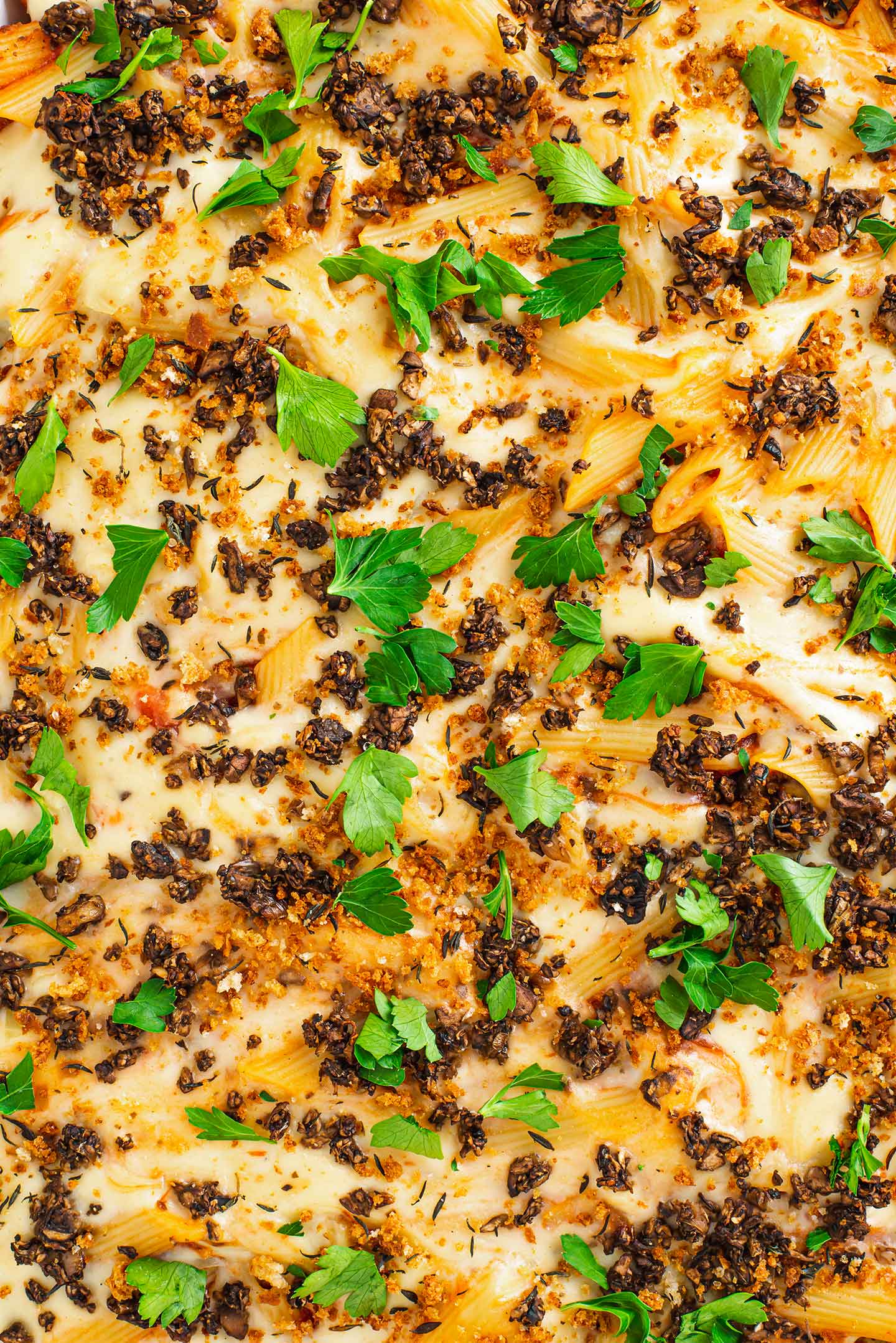 Top down view of ziti casserole filling the entire image. "Cheesy" bechamel, fresh parsley, and crispy mushrooms garnish the top.