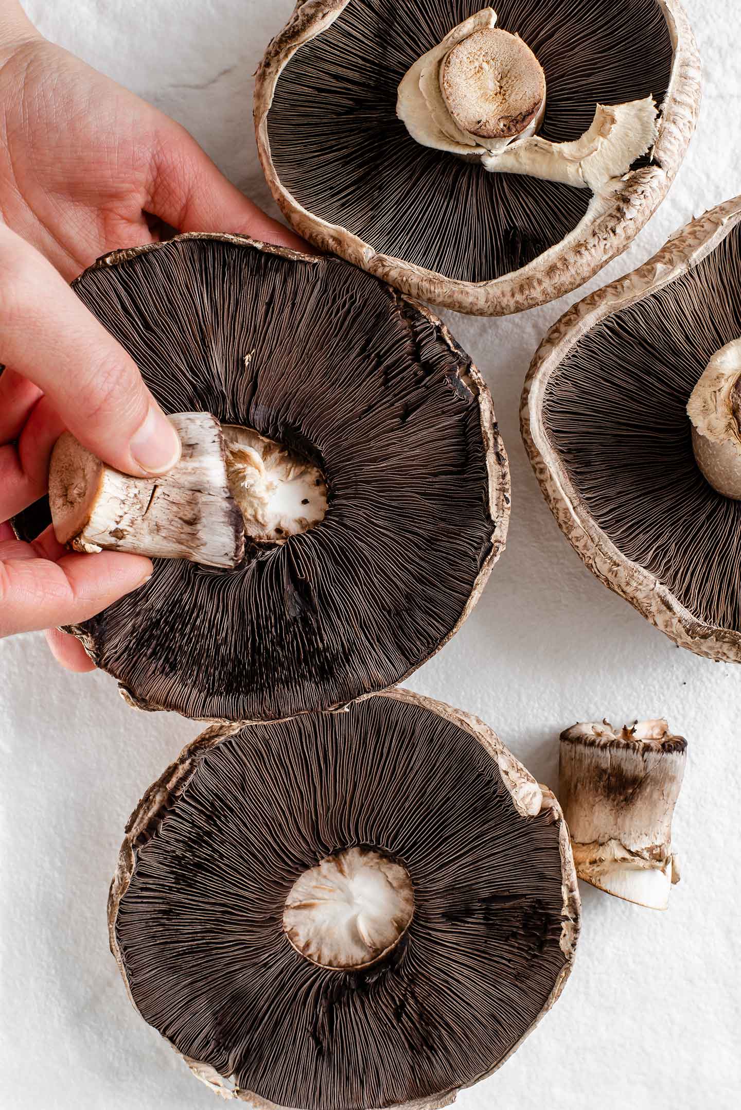 Top down view of a hand twisting the stem from a portobello mushroom.