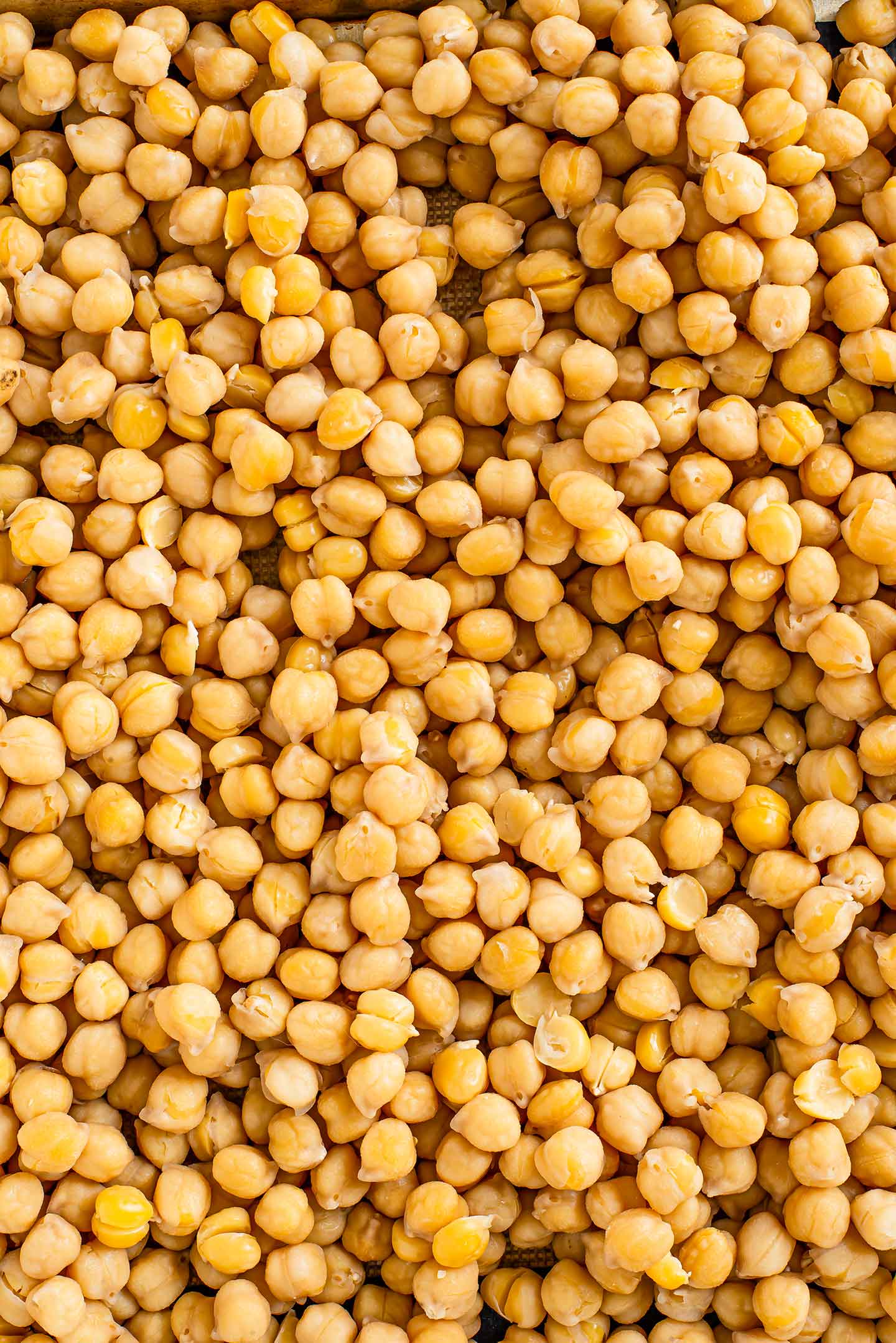 Top down view of cooked chickpeas spread on a baking sheet, filling the image.