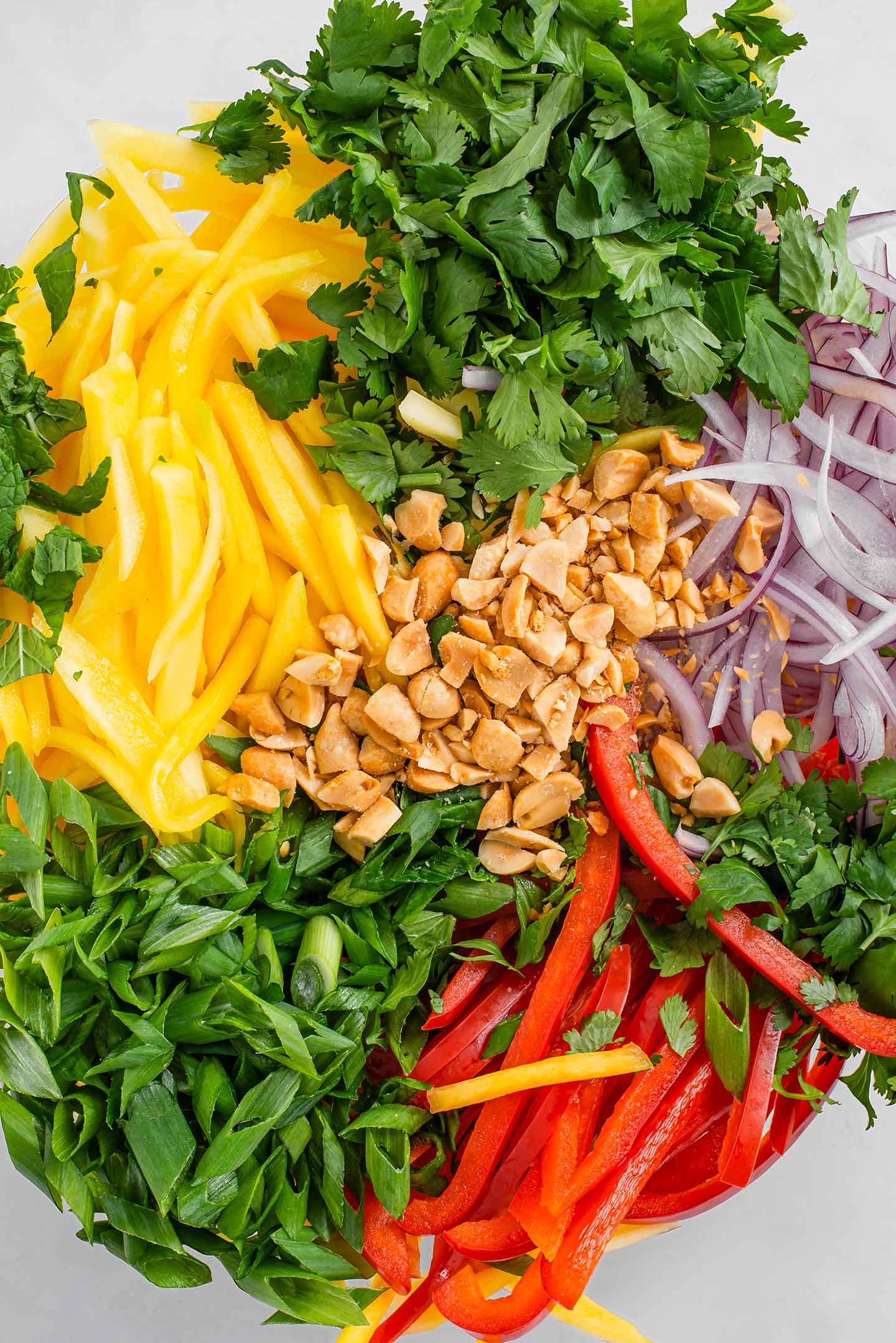 Top down view of colourful sliced mango salad ingredients in a bowl. Ripe mango, red pepper, red onion, green onion, mint, cilantro, and peanuts.