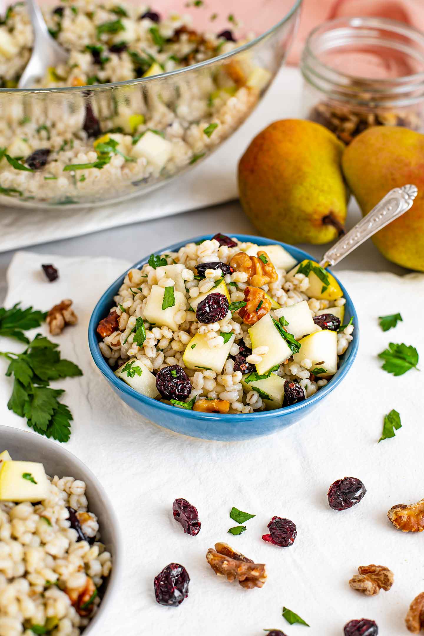 Side view of pear, pearled barley salad in a small salad dish. Diced pear, dried cranberries, toasted walnuts, and fresh parsley are mixed with the fluffy barley. More salad is in a serving bowl and other small salad bowls are filled as well.