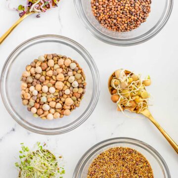 Top down view of sprouting seeds in small glass bowls. Next to the bowls are spoons holding the colourful grown sprouts.
