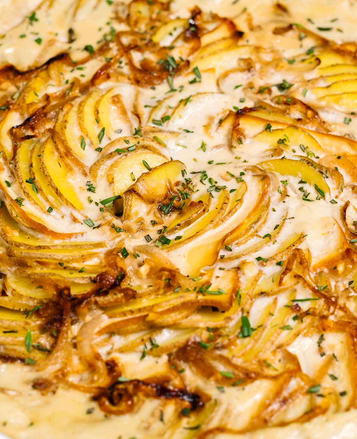 Side view close up of spiralled dairy free scalloped potatoes. The potatoes are layered with smoked tofu and garnished with caramelized onion and chopped rosemary.